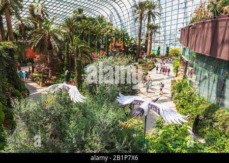 Blumendarstellung im kühleren Wintergarten der Gärten an der Bucht, Singapur, Asien Stockfoto