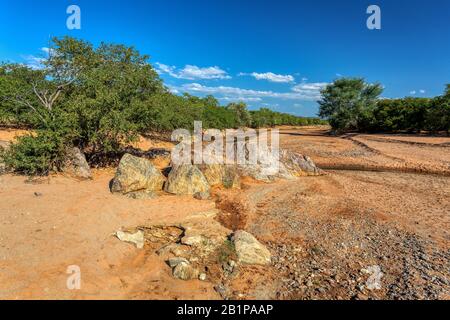 Afrikanische Landschaft mit Flussbett ohne Wasser. Afrika, Wildnis Stockfoto