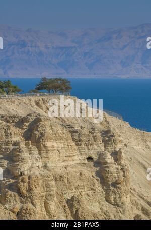 Außendienst nahe der ein Gedi Field School, Totes Meer, Israel Stockfoto