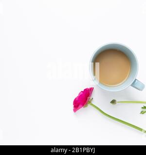 Tasse Kaffee mit pinkfarbener Ranunculusblume auf weißem Hintergrund. Flacher Lay, Draufsicht, Kopierbereich Stockfoto