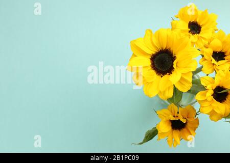 Gelbe Sonnenblumen auf minzgrünem Grund. Blumendesign, Draufsicht, Kopierbereich Stockfoto