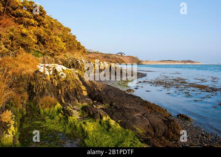 Ebbe in einer Schindelcove am Inchydoney Island Beach im County Cork an der Südküste Irlands Stockfoto