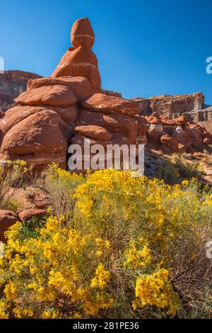 Gummirabbit, Sandstein-Kobolde und Hoodoos an Der Little Egypt Geological Site, Bicentennial Highway Area, südlich von Hanksville, Utah, USA Stockfoto