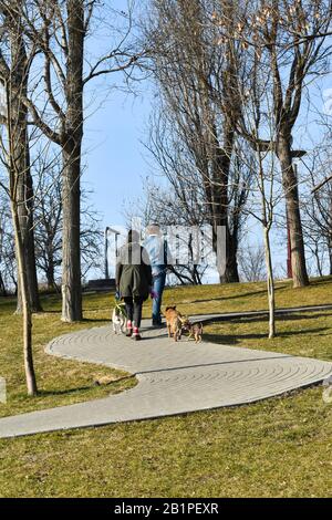 Ein Paar, das die Hunde auf einer kurvenreichen Gasse im Park spazieren geht Stockfoto