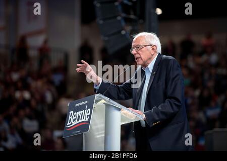 Senator Bernie Sanders sprach am 23. Februar 2020 in Houston, Texas, auf einer Kundgebung im Fertitta Center der University of Houston für Super Tuesday. Stockfoto