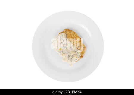 Steak, Schweinekotelett, Huhn, gegrilltes Fleisch, Grill, mit Pilzen sahnig, saure Sahne Sauce auf den Teller, auf einem weißen Hintergrund. Für ein Menü Stockfoto
