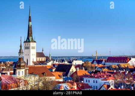 Überblick über die Altstadt, Tallinn in Estland, von der Übersichtsseite in Toompea, die die Stadtmauern und Kirchen zeigt. HDR-Aufnahme Stockfoto