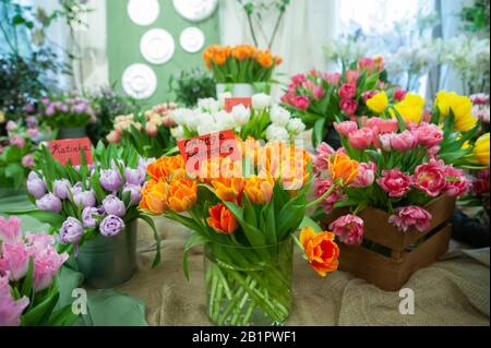 Blumenschau . Schicker Blumenstrauß mit orangefarbenen Tulpen, Orange Princess und Katinka. Frühling Sommer Hintergrund Stockfoto