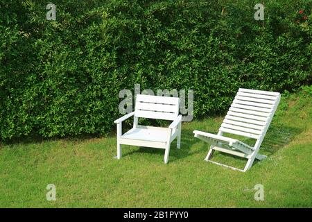 Zwei leere weiße Holzstühle im Sonnengarten Stockfoto