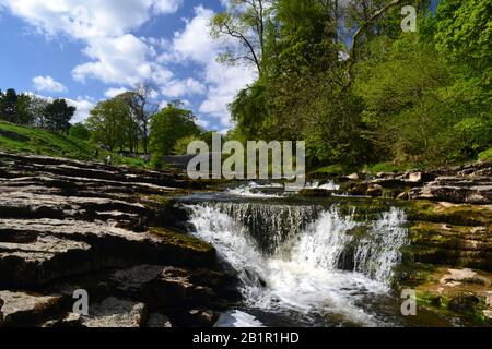 Stainforth Force auf dem Fluss Ribble in der Nähe Von Settle Yorkshire im Sommer Stockfoto