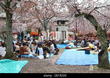 KYOTO, Japan - 14 April, 2012: Die Menschen genießen Kirschblüte in Kyoto, Japan. Hanami ist eine traditionelle japanische Custom genießen die Übergangszeit beaut Stockfoto