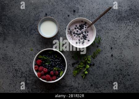 Chia Pudding Schüssel mit Blaubeeren, Gesundes Frühstückskonzept. Stockfoto