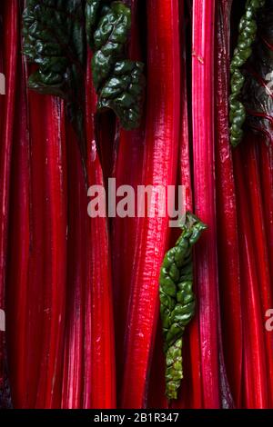 Balkanküche. Makro. Blitva ( Manchenblätter ) - beliebte Blattgemüse. Stockfoto