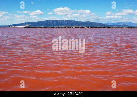 Der rosafarbene Salzsee Laguna de la Tancada mit der Montsia Bergkette auf dem Hintergrund im Delta del Ebro Natural Park Stockfoto