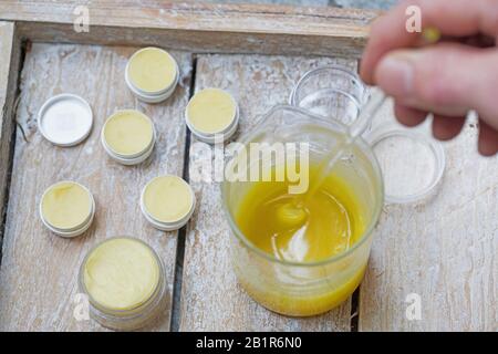 Herstellung einer Lippencreme aus Fichtenharz, Olivenöl, Bienenwachs und Honig, Deutschland Stockfoto