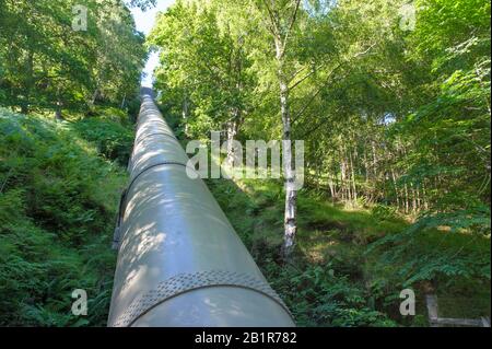 Wasserkraftleitung, die durch Wald in der Nähe von Killin, Schottland fällt Stockfoto