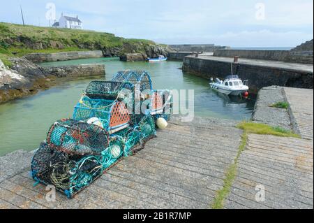 Hummertöpfe im Hafen von Port of Ness auf der Insel Lewis, Schottland Stockfoto