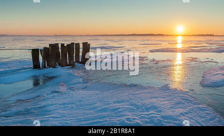 Pfosten im Duemmer See bei winterlichen Sonnenuntergang, Deutschland, Niedersachsen, Duemmerlohhausen Stockfoto