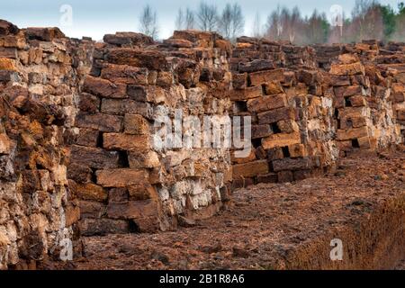 Torfsoden, Torfabbau Goldenstedter Moore, Deutschland, Niedersachsen, Goldenstedter Moore Stockfoto