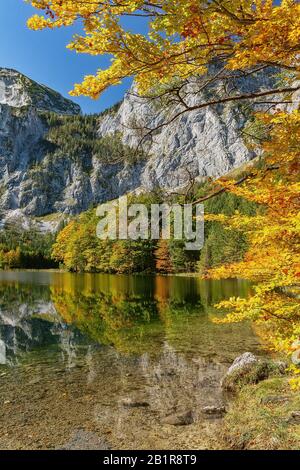 , Bergsee Hinterer Langbathsee im Herbst, Österreich, Oberösterreich, Salzkammergut Stockfoto