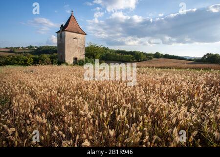 Altes französisches Steingebäude auf einem Feld von Gerste Stockfoto