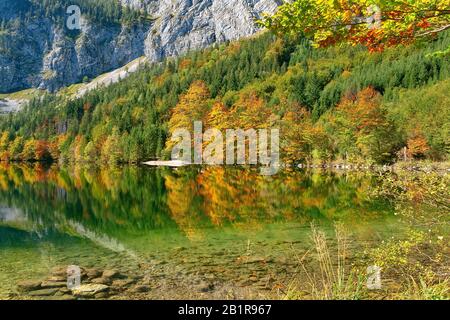 , Bergsee Hinterer Langbathsee im Herbst, Österreich, Oberösterreich, Salzkammergut Stockfoto