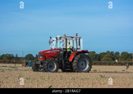 Roter moderner Traktor 5445 Massey Ferguson Pflügt Feldpflug England Landwirtschaft Massey Ferguson 35 1955 Match Competition Country Stockfoto