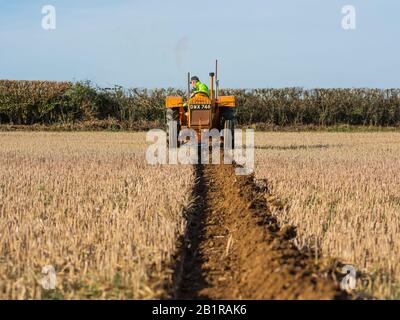 Vintage Class Orange Kleintraktor Pflügt gerade Furchen Feldpflug England Landwirtschaft Massey Ferguson Match Wettkampfland Stockfoto