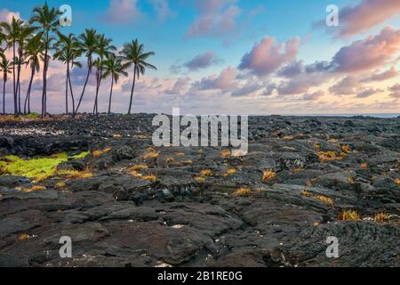 Die schwarzen Lavafelder PU'uhonua oder die Stadt der Zuflucht, im Pu'uhonua o Honaunau National Historical Park auf der großen Insel von Hawaii. Stockfoto