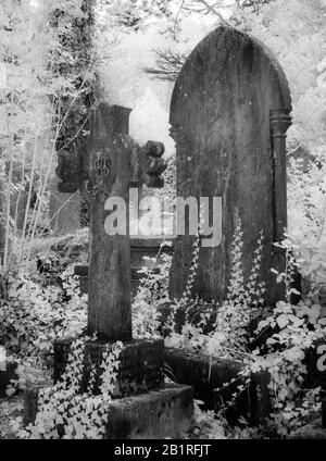 Eine IR-Aufnahme des Alten, Efeu-viktorianischen Grabsteine abgedeckt. Stockfoto