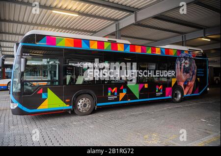 27. Februar 2020, Hessen, Wiesbaden: Ein Bus mit Brennstoffzelle und Wasserstoff als Energieträger befindet sich im Depot der ESWE Verkehrsbetriebe. Auf dem Gelände der ESWE Verkehrsbetriebe in Wiesbaden wurde eine Wasserstofftankstelle eröffnet. Der Wasserstoff für den Betrieb öffentlicher Busse wird mit Hilfe von Windkraft aus dem Mainzer Energiepark produziert. Foto: Andreas Arnold / dpa Stockfoto