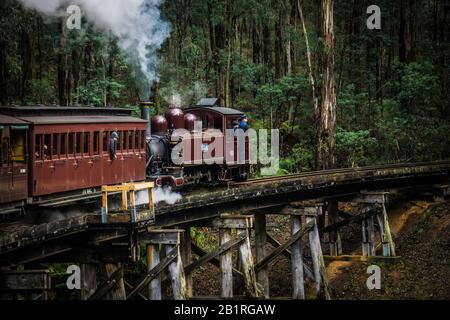 Historische Dampfeisenbahn Puffing Billy in den Dandenong Ranges, östlich von Melbourne, Victoria, Australien. Stockfoto