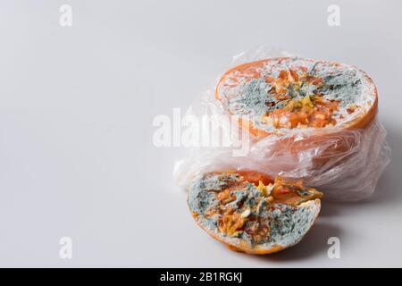 Hässliche Form orange in Zellophanverpackung auf grau. Nahaufnahme. Unsachgemäße Lagerung von Obst. Stockfoto