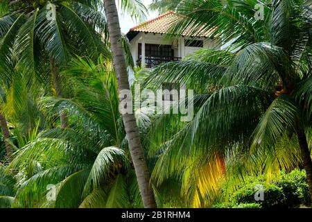 Batam Indonesia - idyllisches Haus in der Gegend von Nongsa Stockfoto