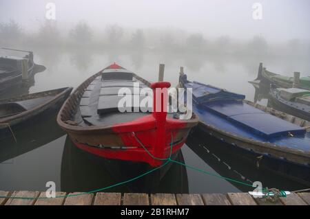 Boote im Hafen von Catarroja. Valencia Spanien. Stockfoto