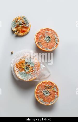 Hässliche Form orange in Zellophanverpackung auf grau. Ansicht von oben. Vertikales Format. Unsachgemäße Lagerung von Obst. Stockfoto