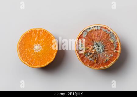 Hässliche Form auf der Hälfte der Orange auf Grau. Ansicht von oben. Unsachgemäße Lagerung von Obst. Stockfoto