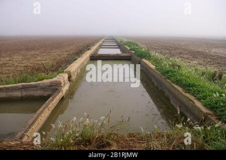 Bewässerungskanal auf den Reisfeldern. Albufera von Valencia. Spanien. Stockfoto