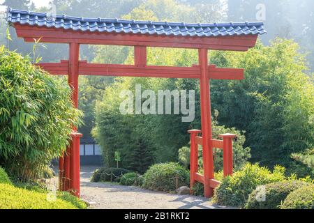 Frankreich, Maine et Loire, Maulevrier, Parc Oriental de Maulevrier, Torii am Eingang des Parks // Frankreich, Maine-et-Loiré (49), Maulévrier, Pa Stockfoto