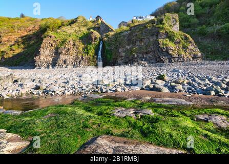 Küstenwasserfall am Strand von Bucks Mills am Fuße des einzigartigen, historischen Dorfes, geografische Merkmale, Küstenleben, North Devon, Großbritannien Stockfoto