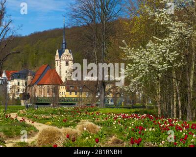 Hofwiesenpark und Untermhaus mit Kirche St. Maria, Gera, Thüringen, Deutschland, Stockfoto