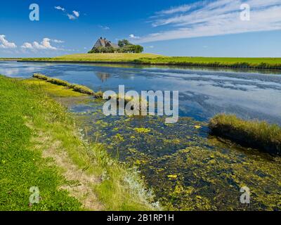 Kirchwarft auf Hallig Hooge, Nordfriesland, Schleswig-Holstein, Deutschland, Stockfoto