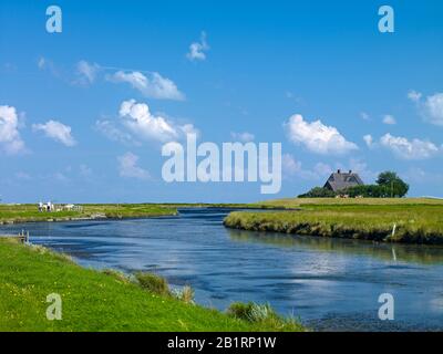 Kirchwarft auf Hallig Hooge, Nordfriesland, Schleswig-Holstein, Deutschland, Stockfoto