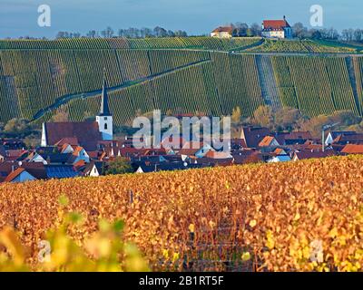 Blick über Weinberge nach Nordheim mit Vogelsburg bei Volkach, Mainfranken, Bayern, Deutschland Stockfoto