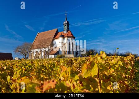 Kirche Maria im Weingarten bei Volkach am Main, Unterfranken, Bayern, Deutschland Stockfoto