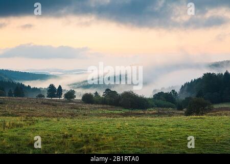 Neustadt am Rennsteig, Thüringer Wald, Ilm-Kreis, Thüringen, Deutschland Stockfoto