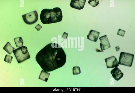 Salz ist ein Mineral, das hauptsächlich aus Natriumchlorid (NaCl), eine chemische Verbindung, die zu den größeren Klasse von Salzen; Salz in seiner natürlichen Form Stockfoto