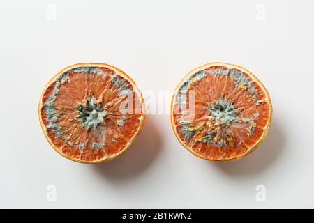 Hässliche Form auf der Hälfte der Orange auf Grau. Ansicht von oben. Falsche Lagerung von Lebensmitteln. Stockfoto