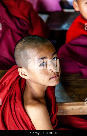 Novizenmönche An EINER Monastischen Religiösen Schule, Loikaw, Kayah State, Myanmar. Stockfoto