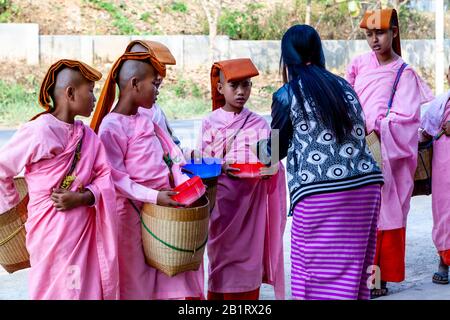 Tilashin (Nonnen) Sammeln Almen, Loikaw, Kayah State, Myanmar. Stockfoto